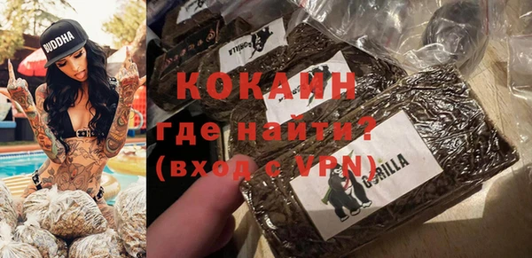 PSILOCYBIN Покров