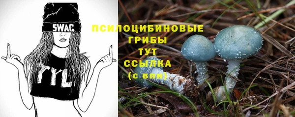 MESCALINE Аркадак