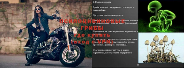 MESCALINE Аркадак