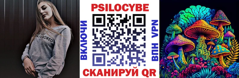 где купить   Новозыбков  mega ссылка  Псилоцибиновые грибы Psilocybe 